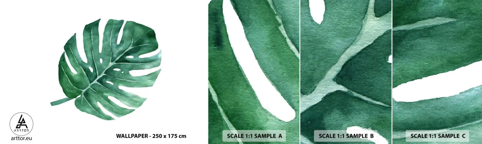 Fototapeta Vzorek Standard Eco - Zelený koncept - Monstera, List, Boho - 100x30 cm