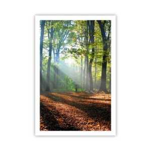 Plakát - Světla a stíny - 61x91 cm