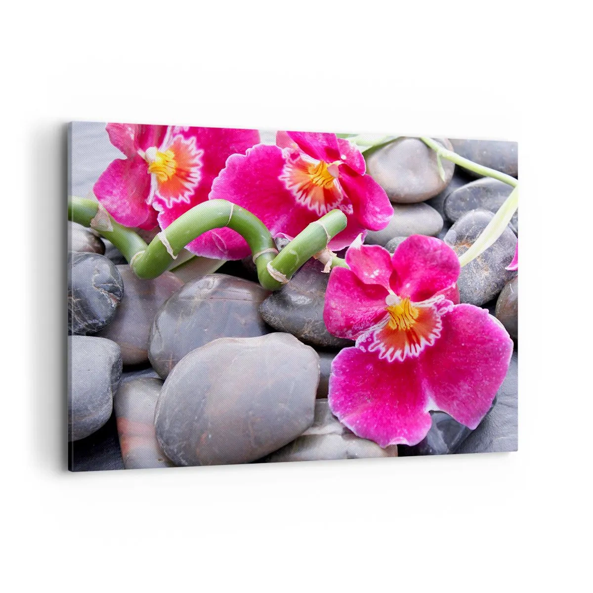 Obraz na plátně - Chlad a žár - 100x70 cm