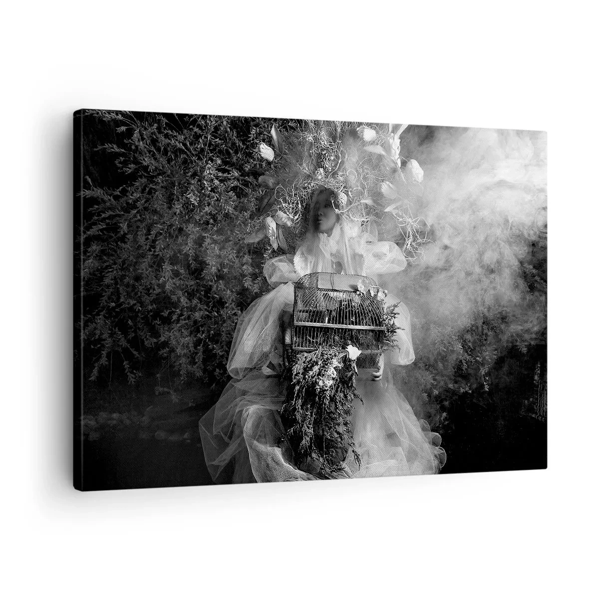 Obraz na plátně - Černobílá kompozice s postavou v šatech a klecí v mlze. - 70x50cm - Matka Příroda - Moderní nástěnná dekorace do obývacího pokoje a ložnice ARTTOR