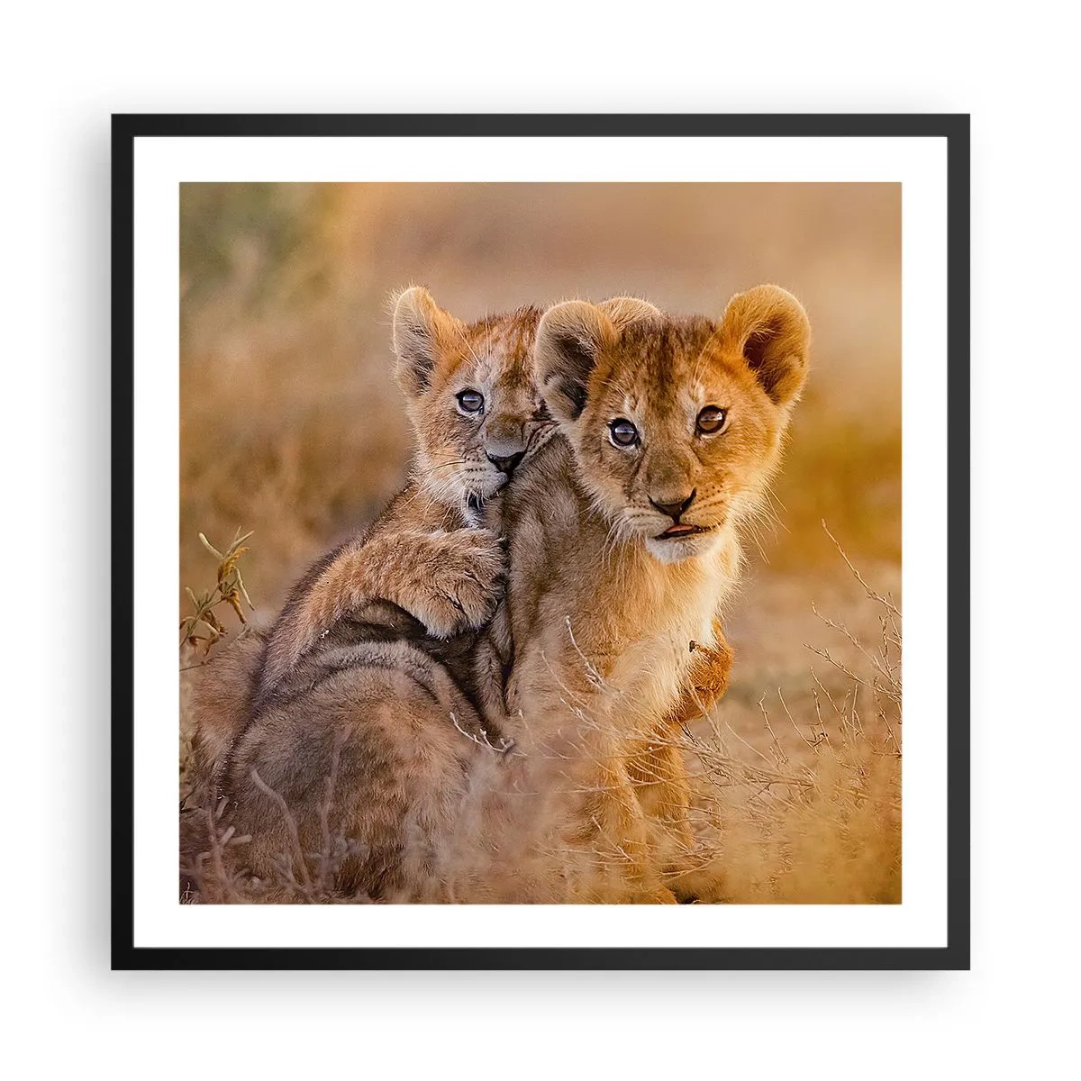 Plakát v černém rámu - Nevyrušovat! Hrajme si - 60x60 cm