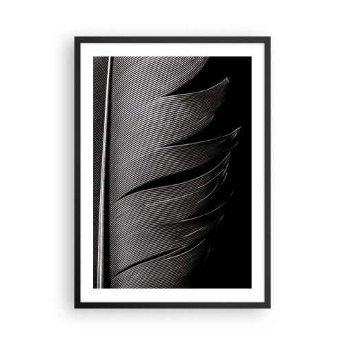 Plakát v černém rámu - Minimalistické pojetí pírka v černé a bílé barvě - 50x70cm - Peří – nádherná konstrukce - Moderní nástěnná dekorace do obývacího pokoje a ložnice ARTTOR