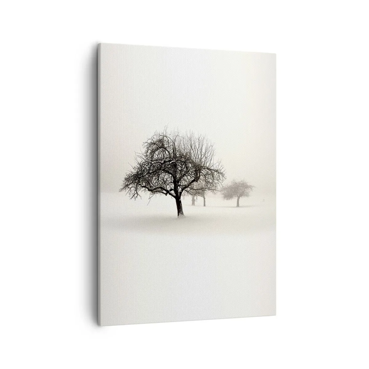 Obraz na plátně - Zimní sen - 50x70 cm