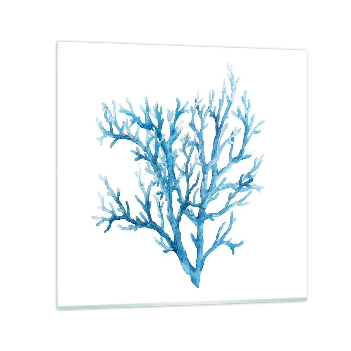 Obraz na skle - Mořský filigrán - 60x60 cm