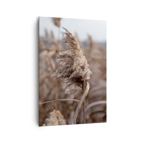 Obraz na plátně - Čas odletět s větrem - 70x100 cm