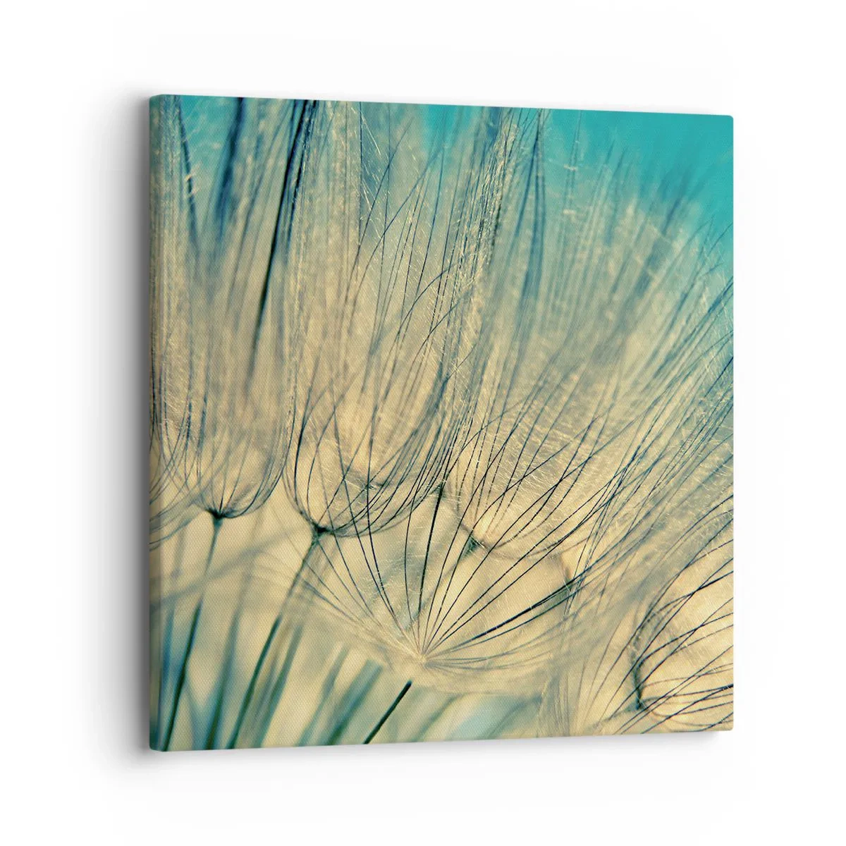 Obraz na plátně - Čekání na vítr - 30x30 cm