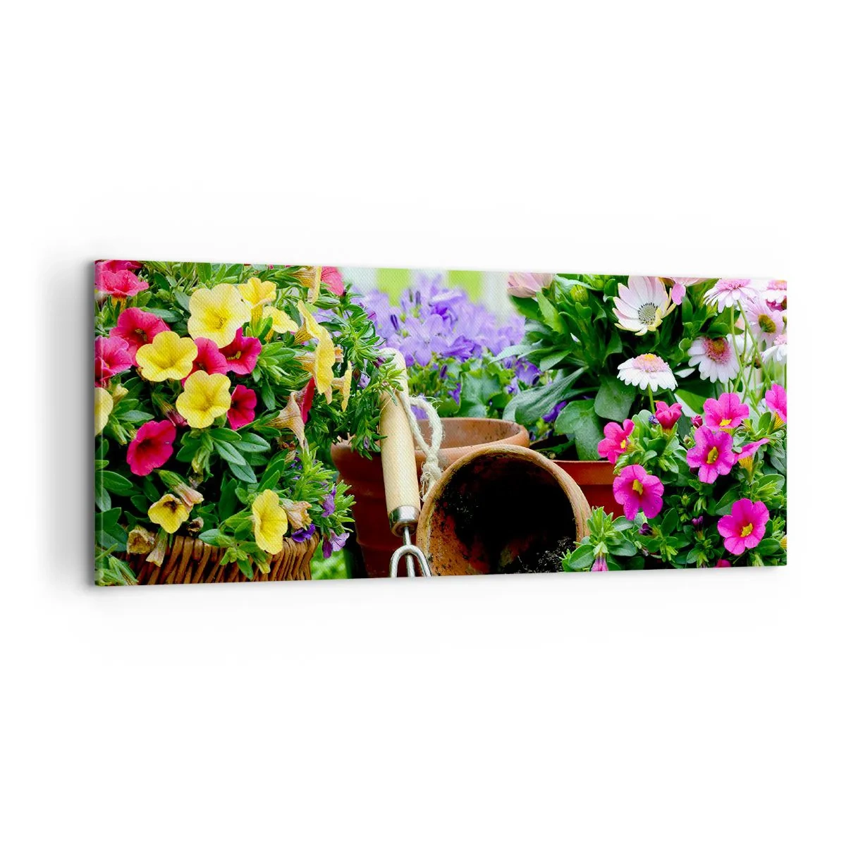 Obraz na plátně - Zahrádka Žofky - 100x40 cm