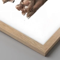 Světlý dub