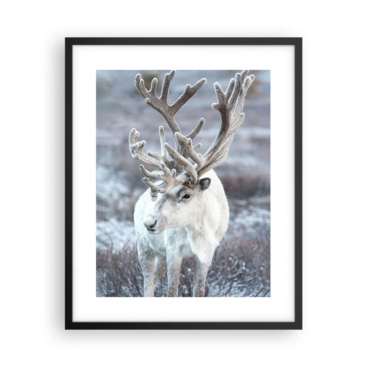 Plakát v černém rámu - Sluneční portrét - 40x50 cm