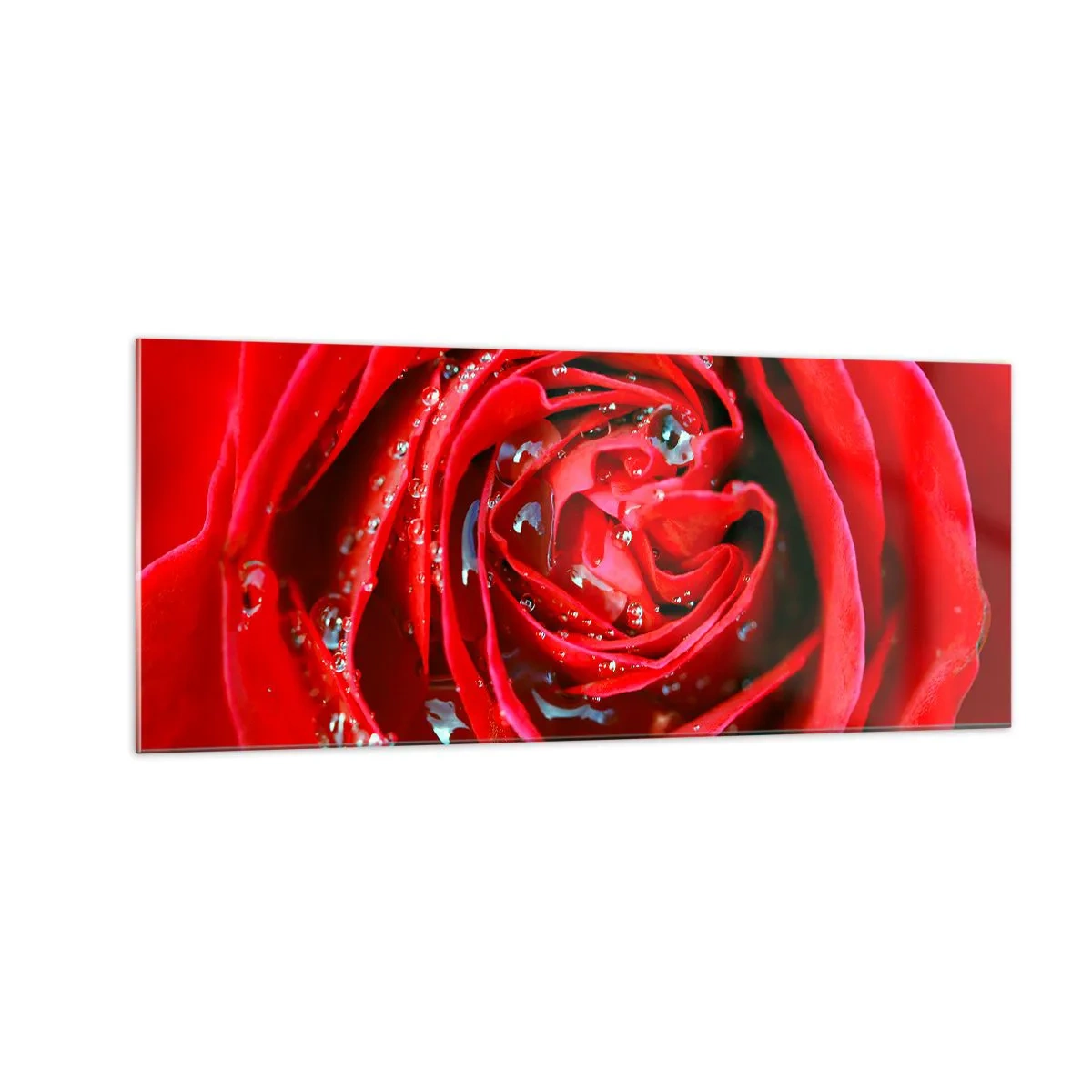Obraz na skle - V kapkách rosy - 100x40 cm