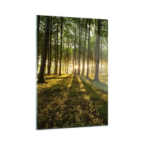 Obraz na skle - Fotografie všech jar - 50x70 cm