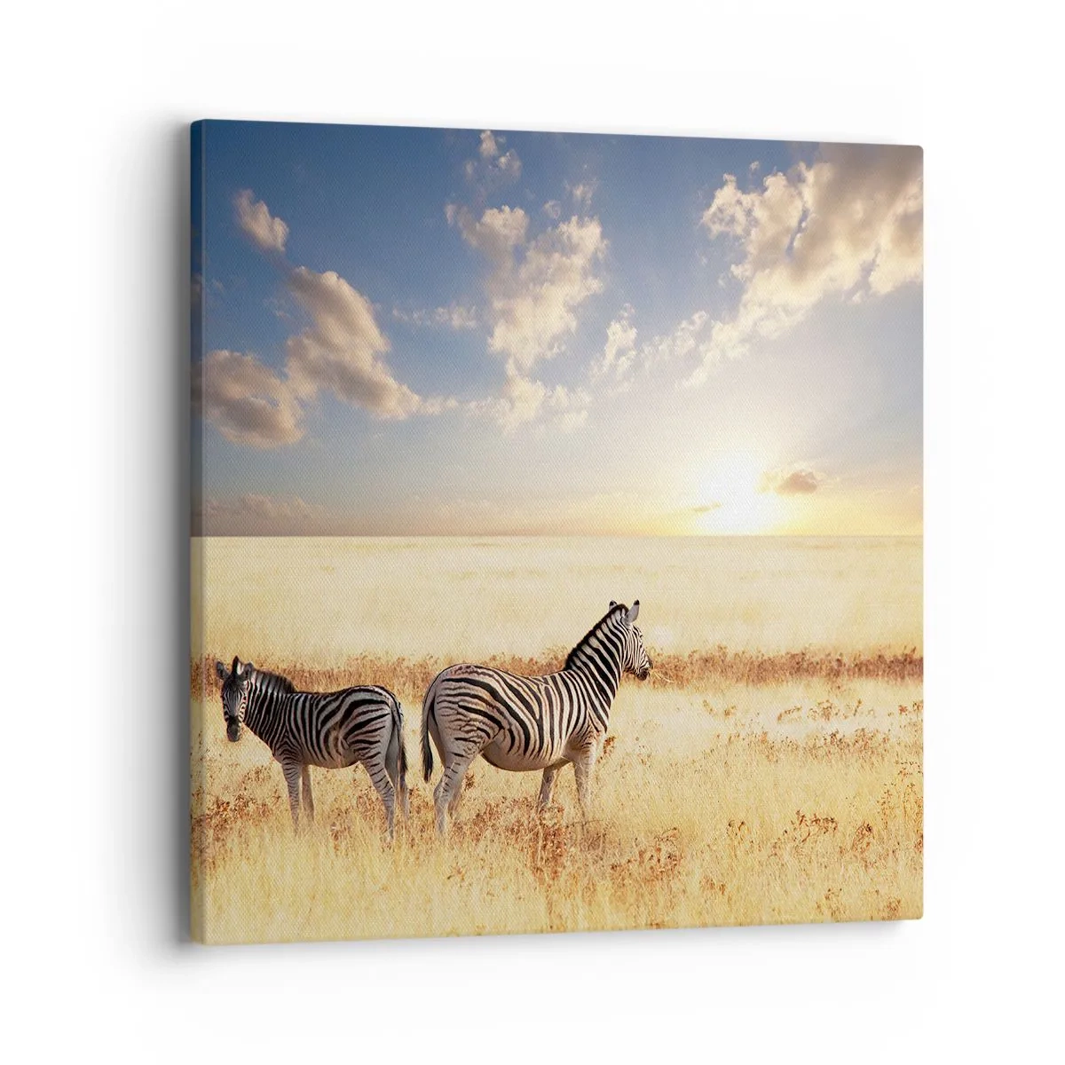 Obraz na plátně - Jdi odsud, neruš klid - 40x40 cm