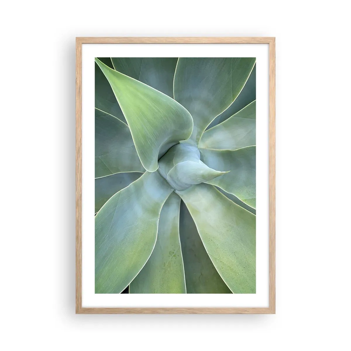 Plakát v rámu světlý dub - Zrození zeleně - 50x70 cm