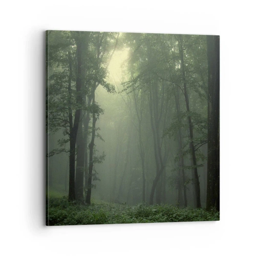 Obraz na plátně - Než se probudí - 70x70 cm