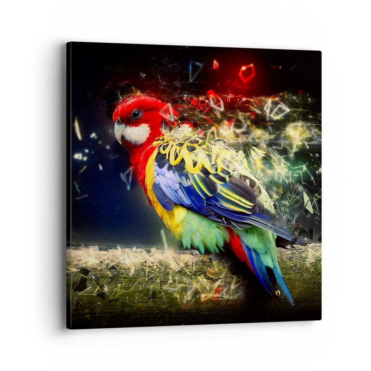 Obraz na plátně - Posel záře - 40x40 cm