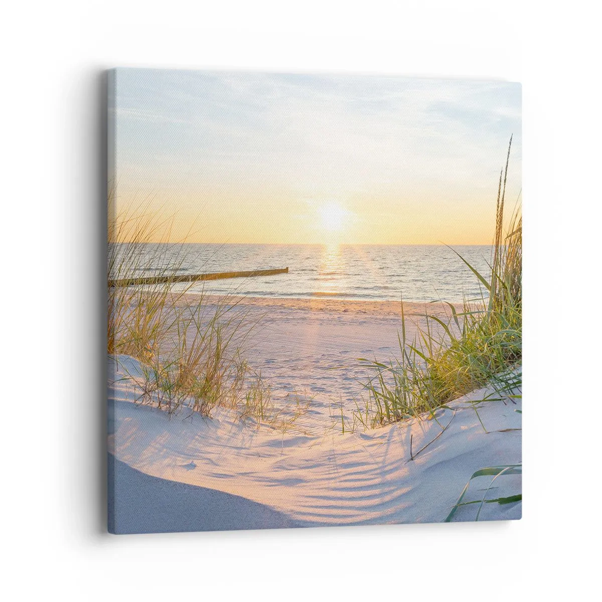 Obraz na plátně - Šumění moře, zpěv ptáků, divoká pláž uprostřed trávy… - 40x40 cm