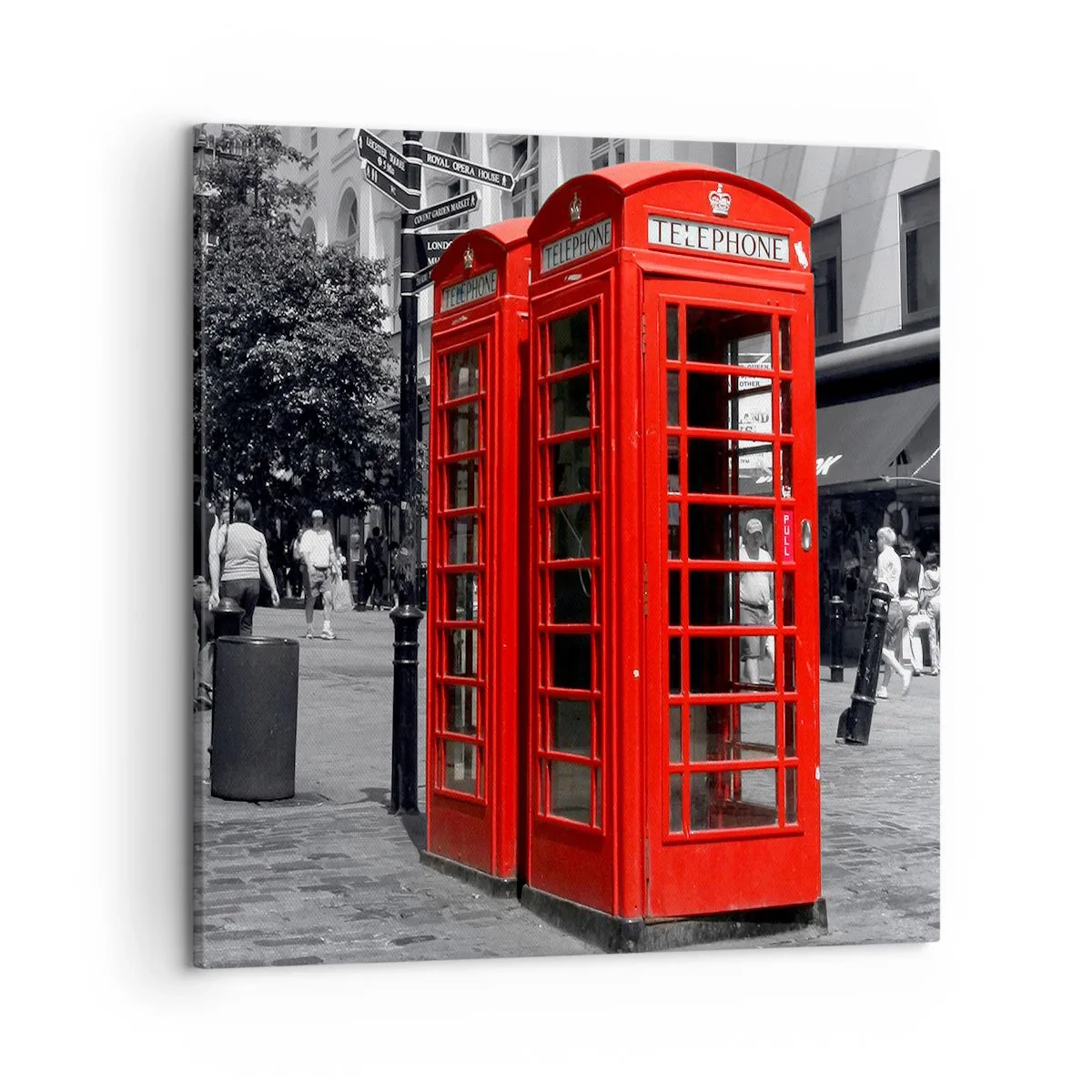 Obraz na plátně - , - 50x50 cm