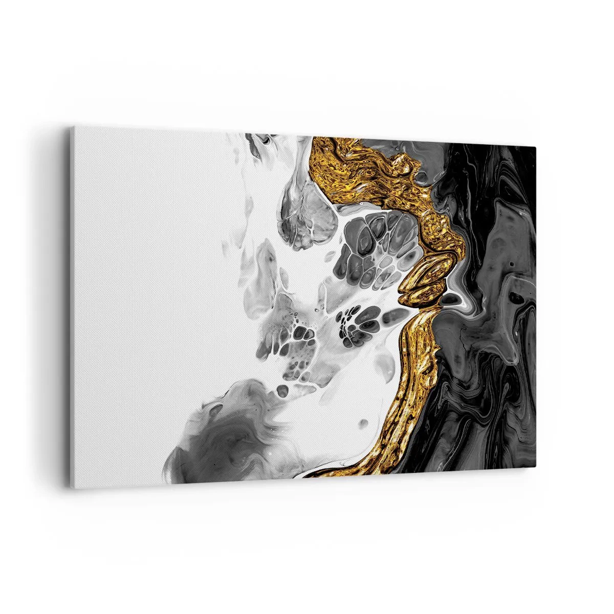 Obraz na plátně - Organická kompozice - 100x70 cm