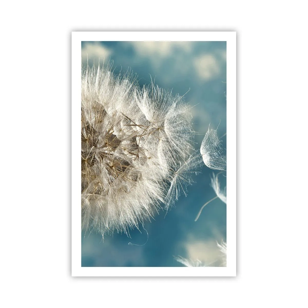 Plakát - Dech anděla - 61x91 cm