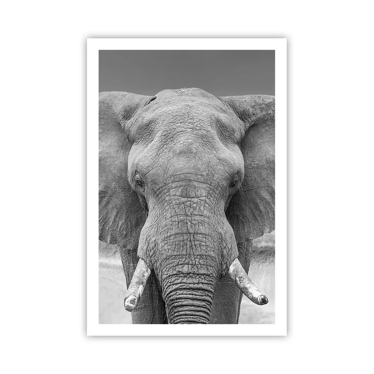 Plakát - Vítejte v mém světě - 61x91 cm