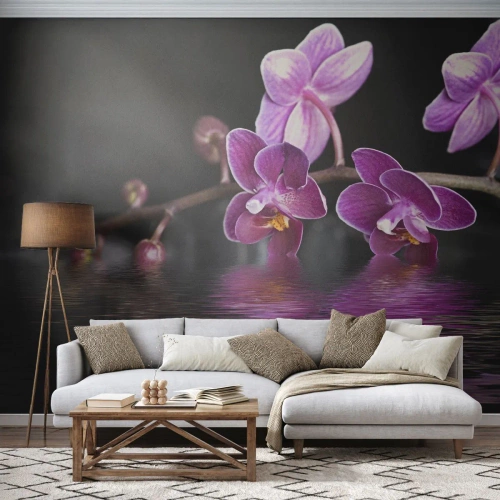 Fototapeta Samolepicí Deluxe Sticker - Liliový odraz krásy - Květiny, Orchidej, Příroda - 250x175 cm
