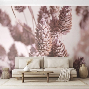 Fototapeta Standard Eco - Zdánlivě nenápadné - Sušená květina, Květ, Louka - 450x315 cm