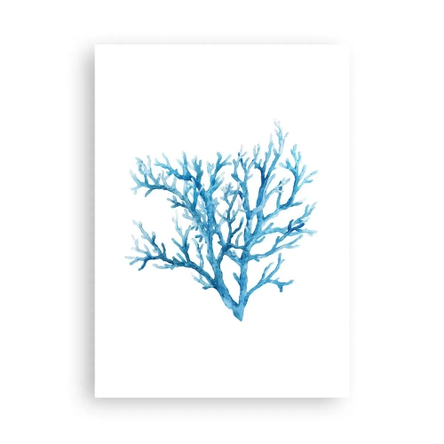 Plakát - Mořský filigrán - 50x70 cm