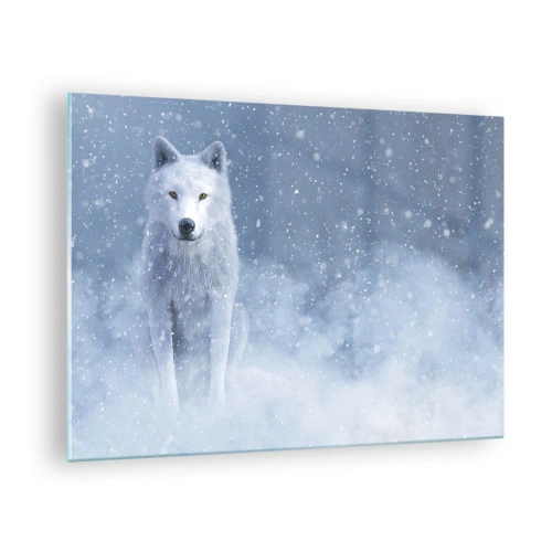 Obraz na skle - Bílý vlk ve sněhové bouři se dívá přímo před sebe - 70x50cm - V zimním duchu - Moderní nástěnná dekorace do obývacího pokoje a ložnice ARTTOR