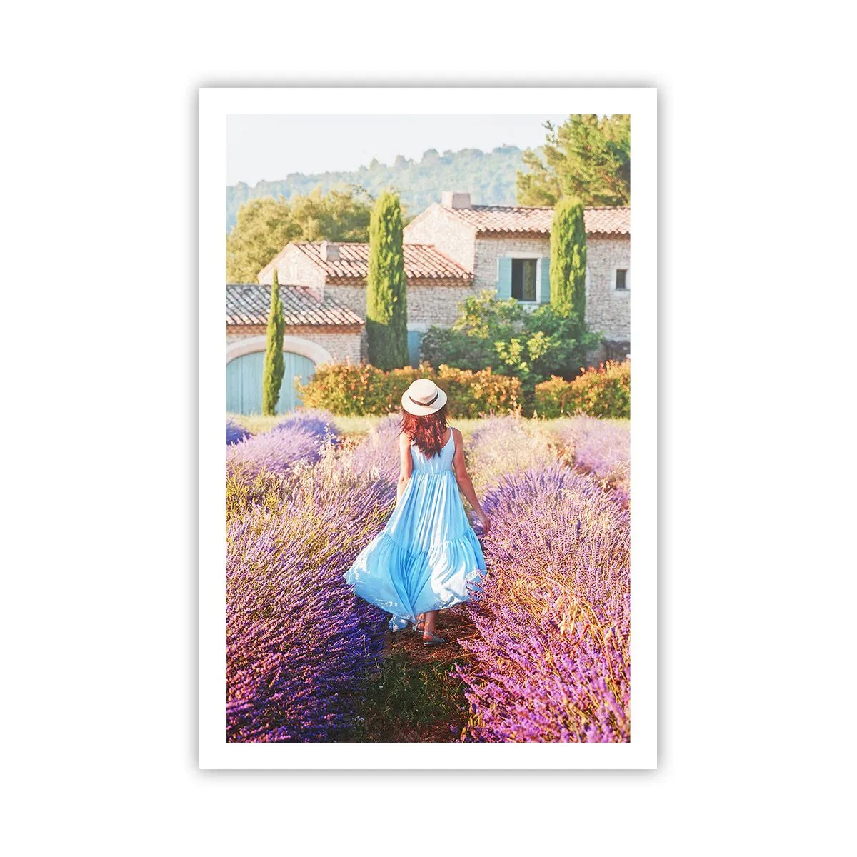 Plakát - Levandulová dívka - 61x91 cm