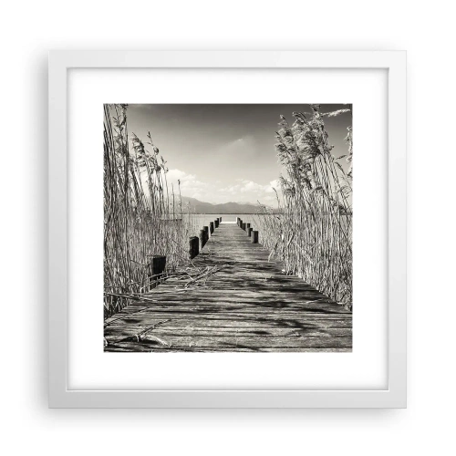 Plakát v bílém rámu - V ústraní travin - 30x30 cm