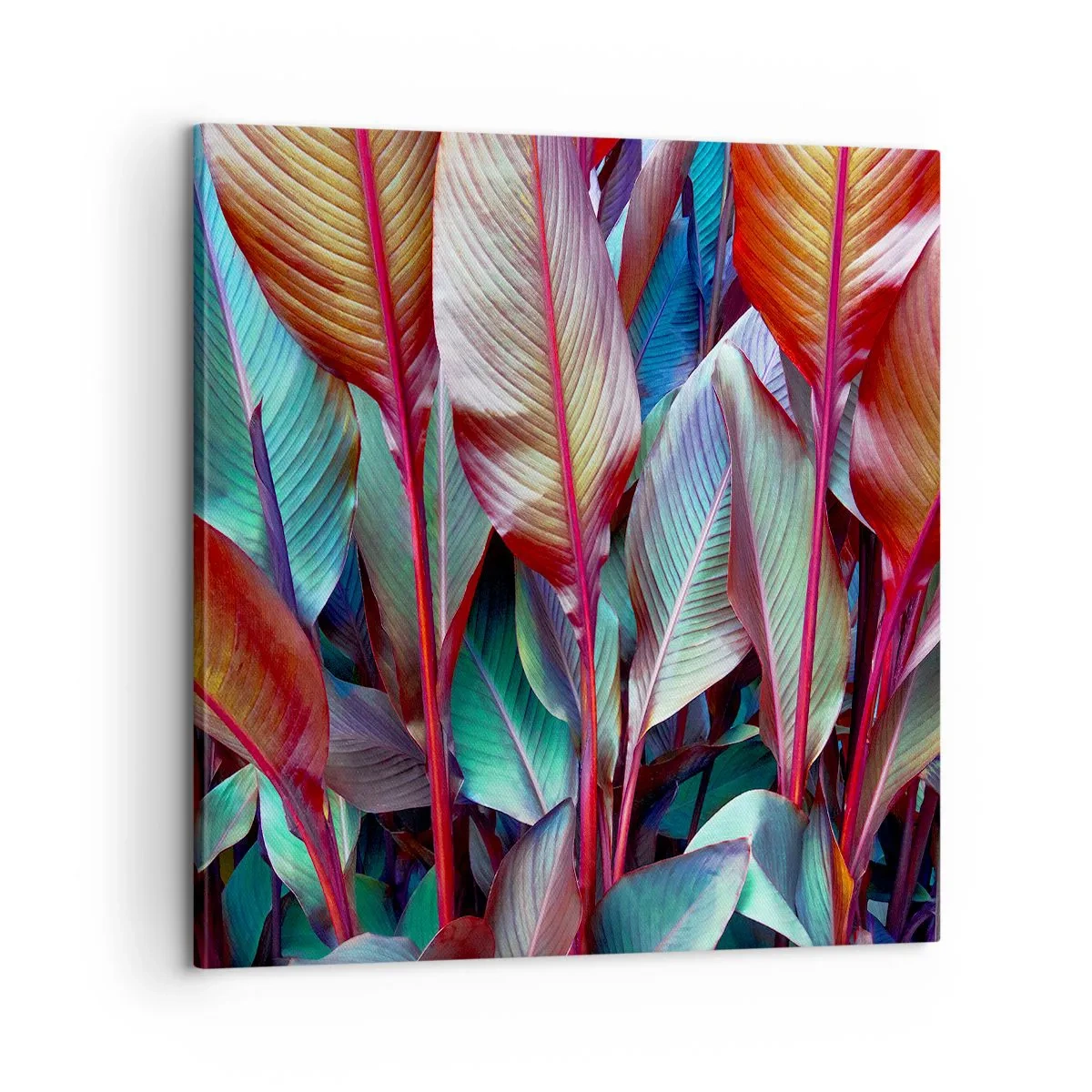 Obraz na plátně - Barevná houština - 60x60 cm