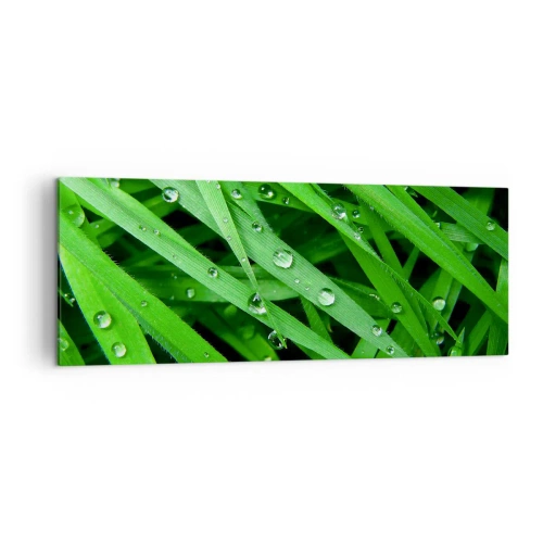 Obraz na plátně - Hrajte na zelenou - 140x50 cm
