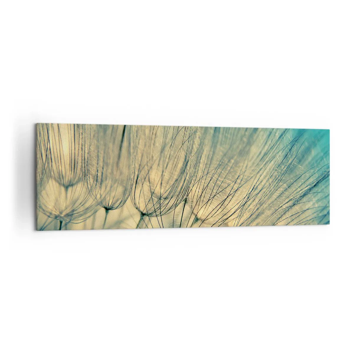 Obraz na plátně - Čekání na vítr - 160x50 cm