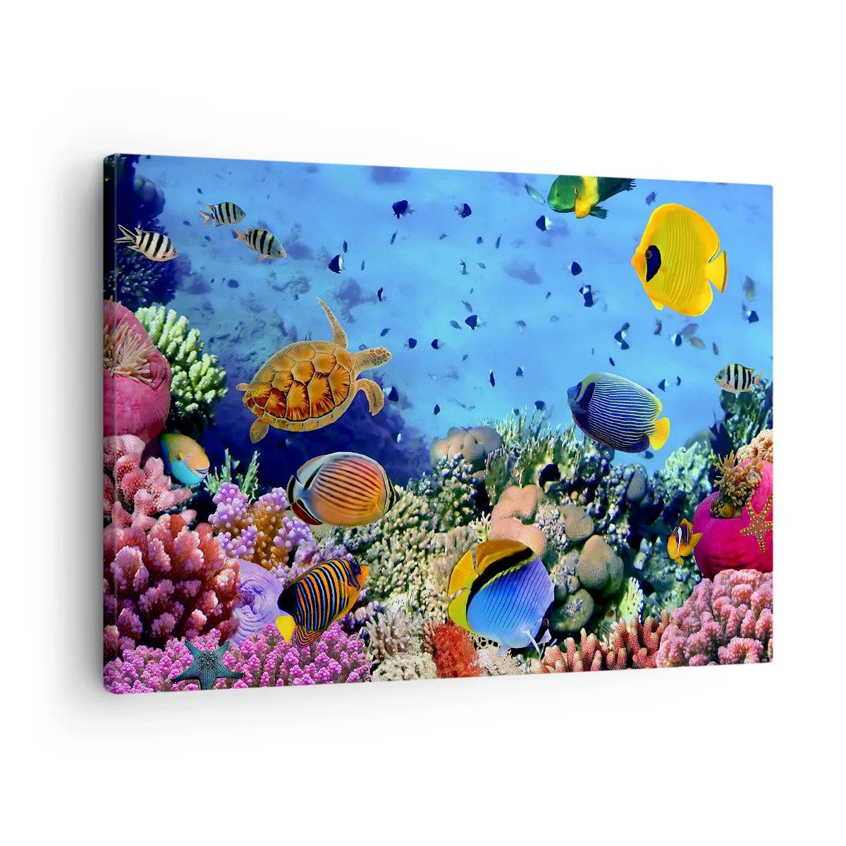 Obraz na plátně - Korálový útes s barevnými rybami a mořskou želvou - 70x50cm - Co víme o životě… - Moderní nástěnná dekorace do obývacího pokoje a ložnice ARTTOR