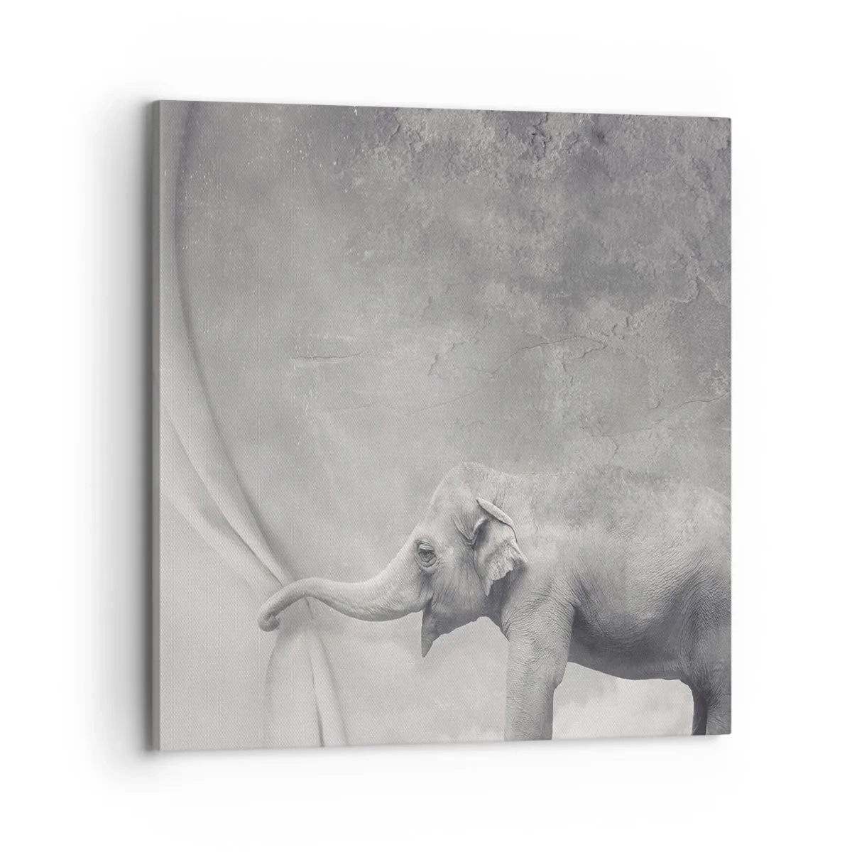 Obraz na plátně - Odhalit tajemství - 70x70 cm