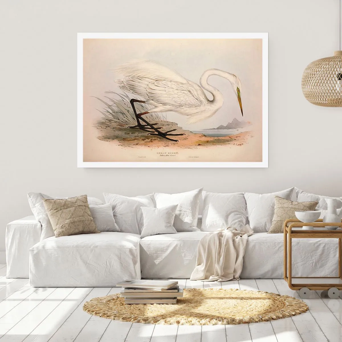 Plakát - Paní rákosin - 70x50 cm