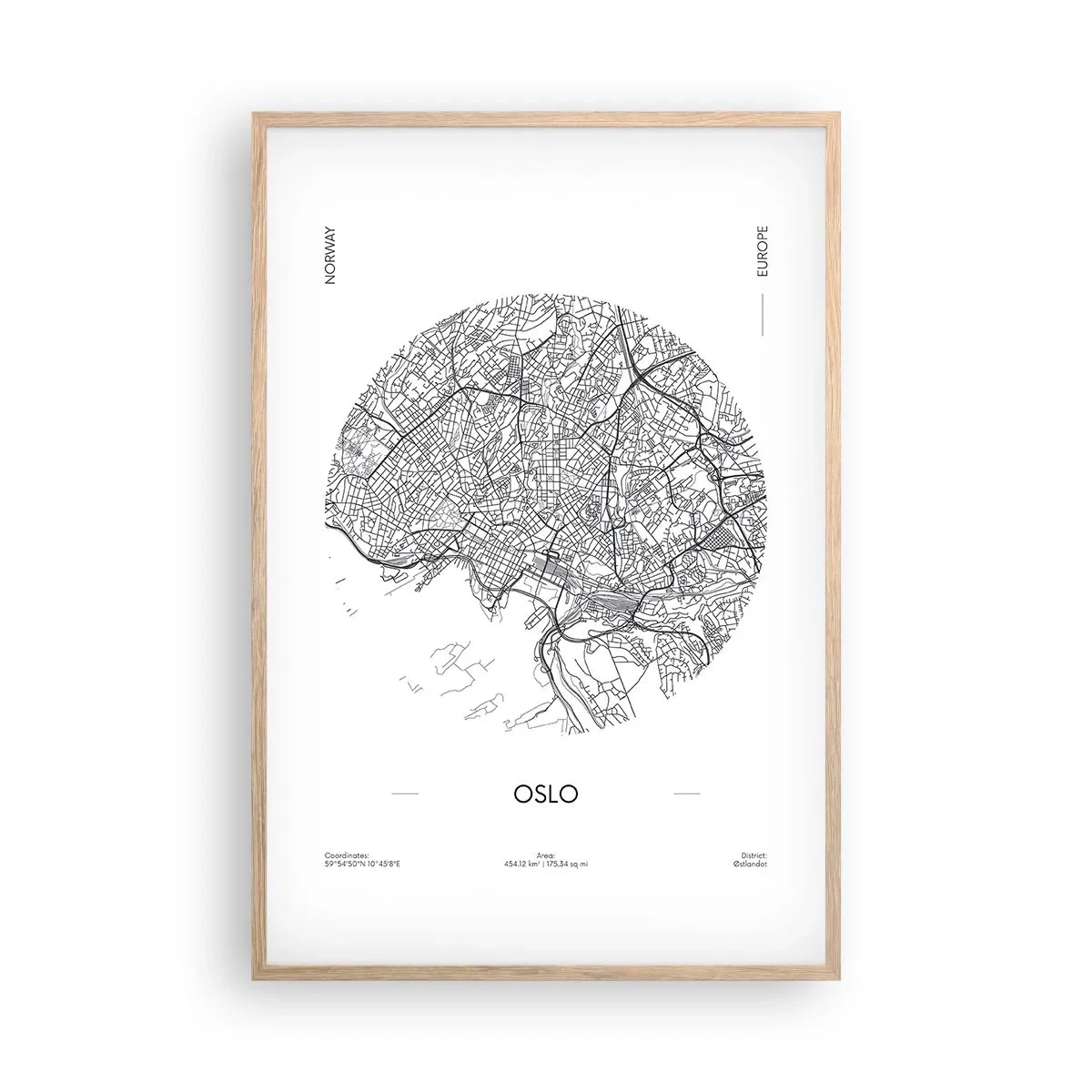 Plakát v rámu světlý dub - Anatomie Osla - 61x91 cm
