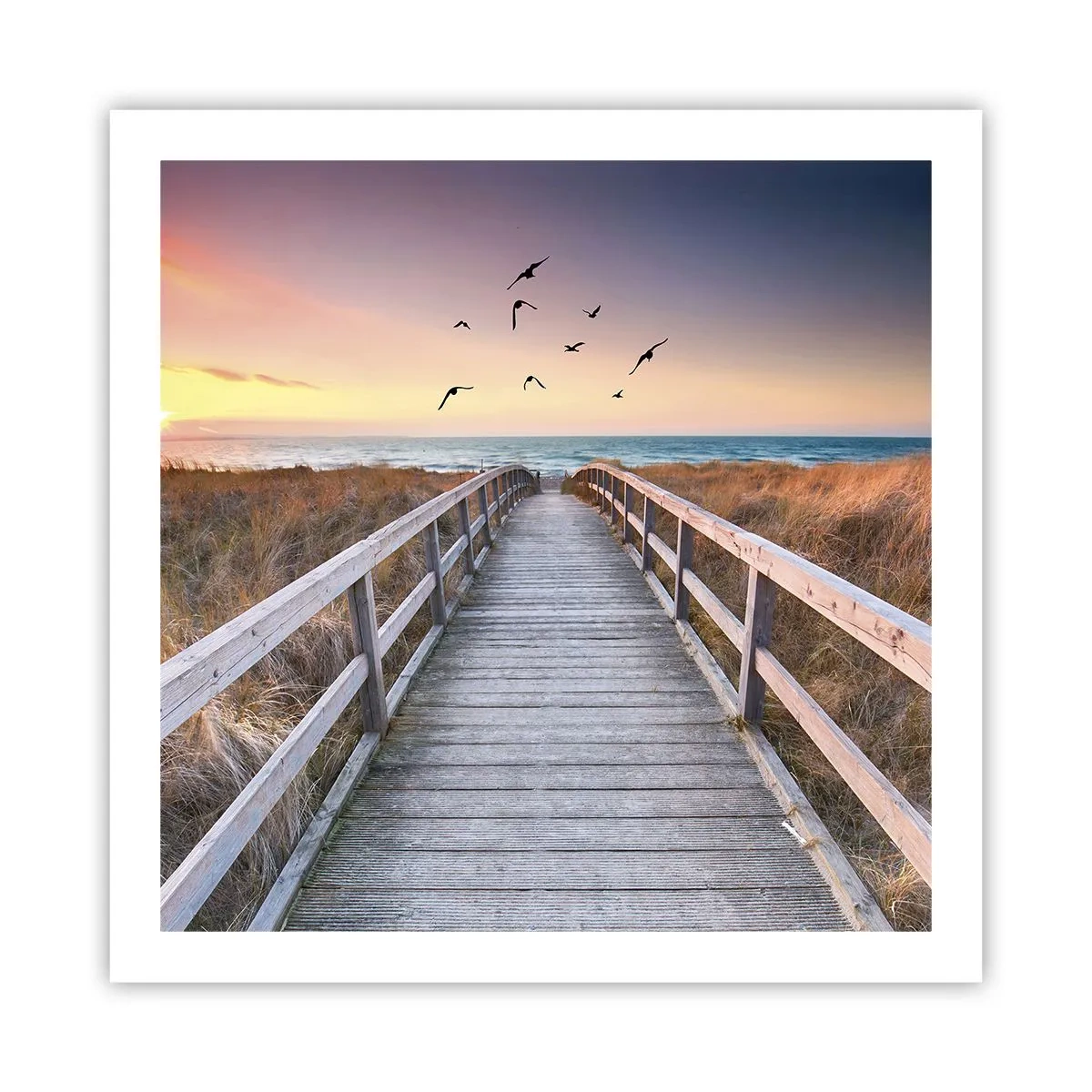 Plakát - Prostor pro vzestupy - 60x60 cm