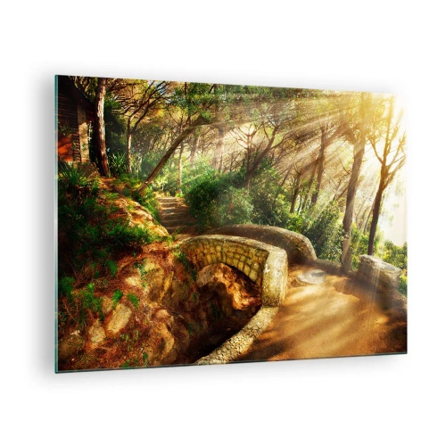 Obraz na skle - Sluneční paprsky osvětlující lesní most a cestu - 70x50cm - Přímo z můstku v pohádkovém lese - Moderní nástěnná dekorace do obývacího pokoje a ložnice ARTTOR