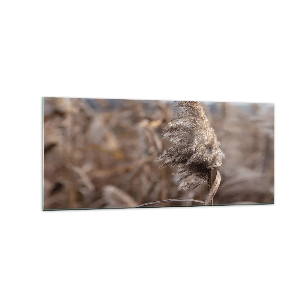 Obraz na skle - Čas odletět s větrem - 120x50 cm