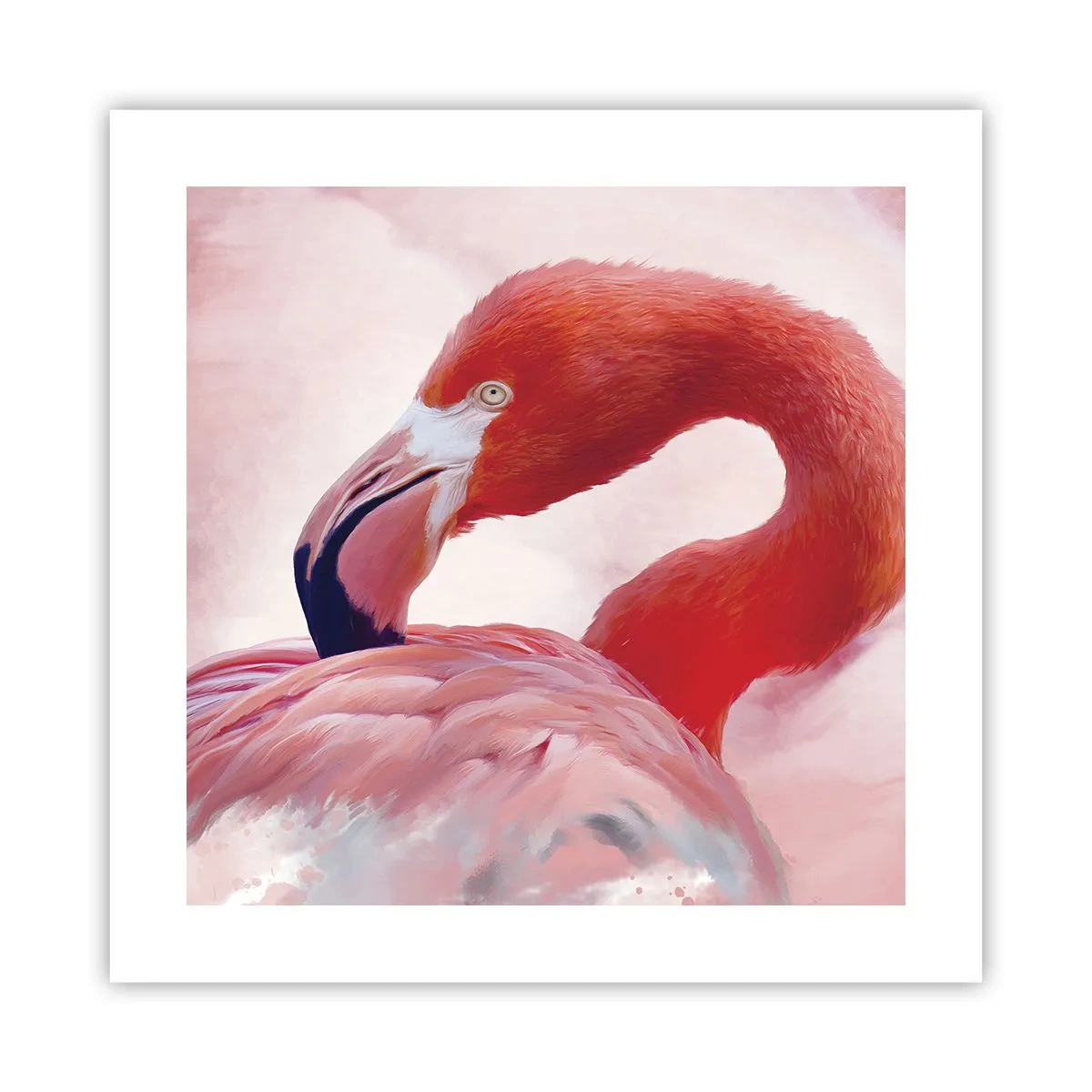 Plakát - Ptačí krása - 40x40 cm