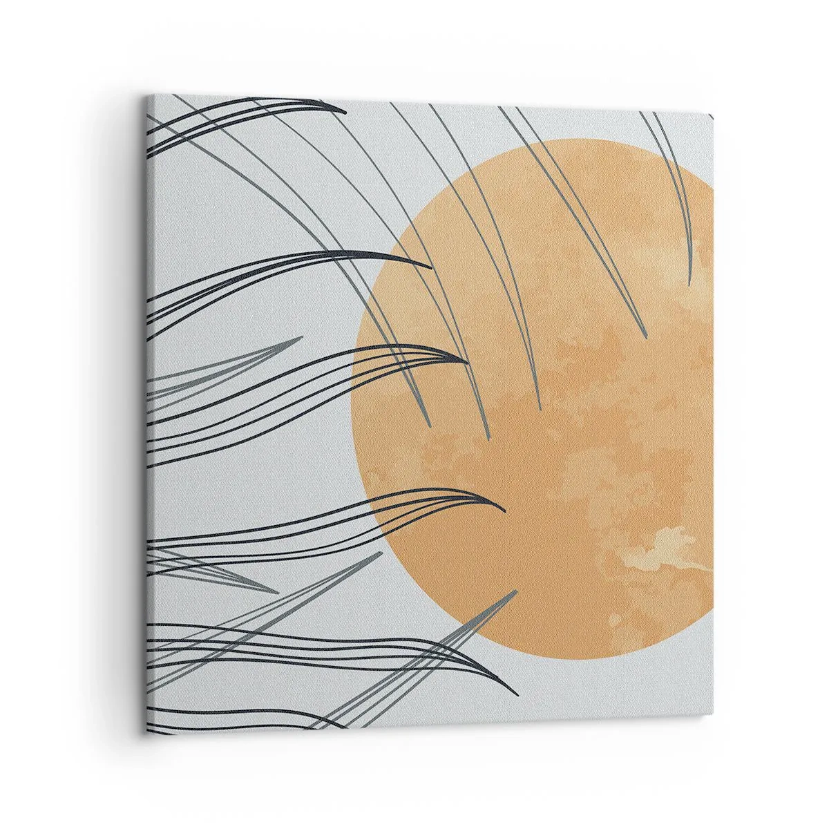 Obraz na plátně - Vždy ke slunci - 50x50 cm