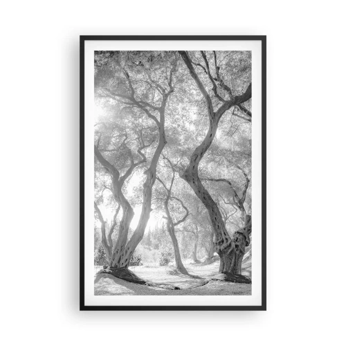 Plakát v černém rámu - V olivovém háji - 61x91 cm