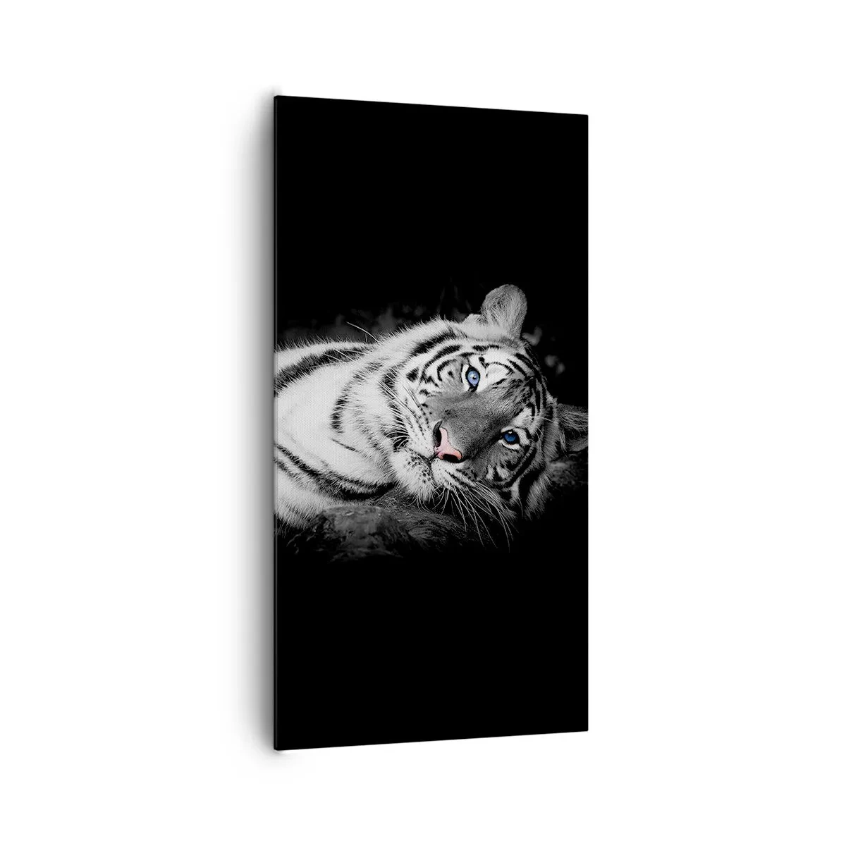 Obraz na plátně - Divočina a klid - 65x120 cm