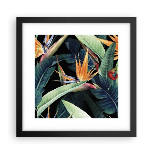 Plakát v černém rámu - Plamenné květy tropů - 30x30 cm