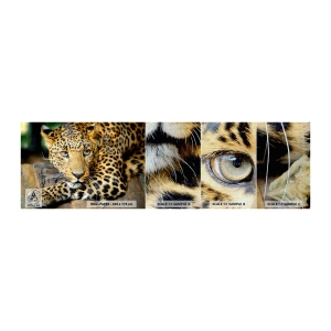 Vzor Fototapety Premium Canvas - Neboj se, přistup - Zvířata, Panter, Divoká kočka - 100x30 cm