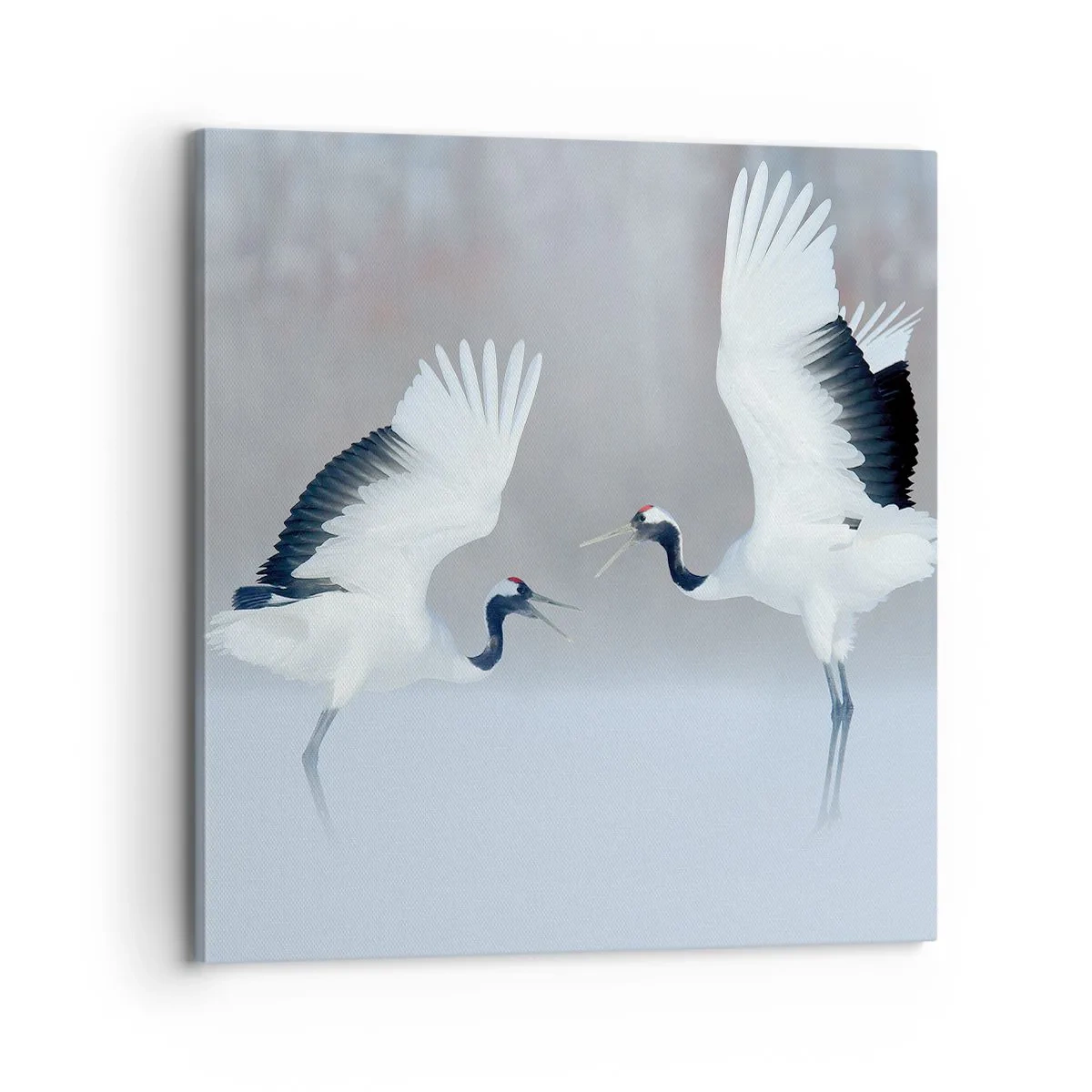 Obraz na plátně - Tanec v mlze - 70x70 cm