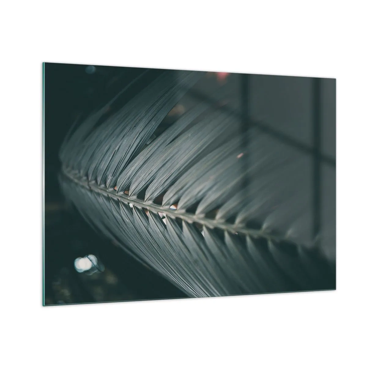 Obraz na skle - Přesnost přírody - 100x70 cm