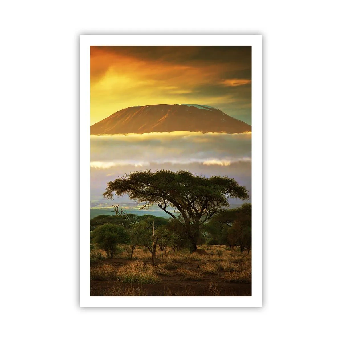 Plakát - Sen cestovatele - 61x91 cm