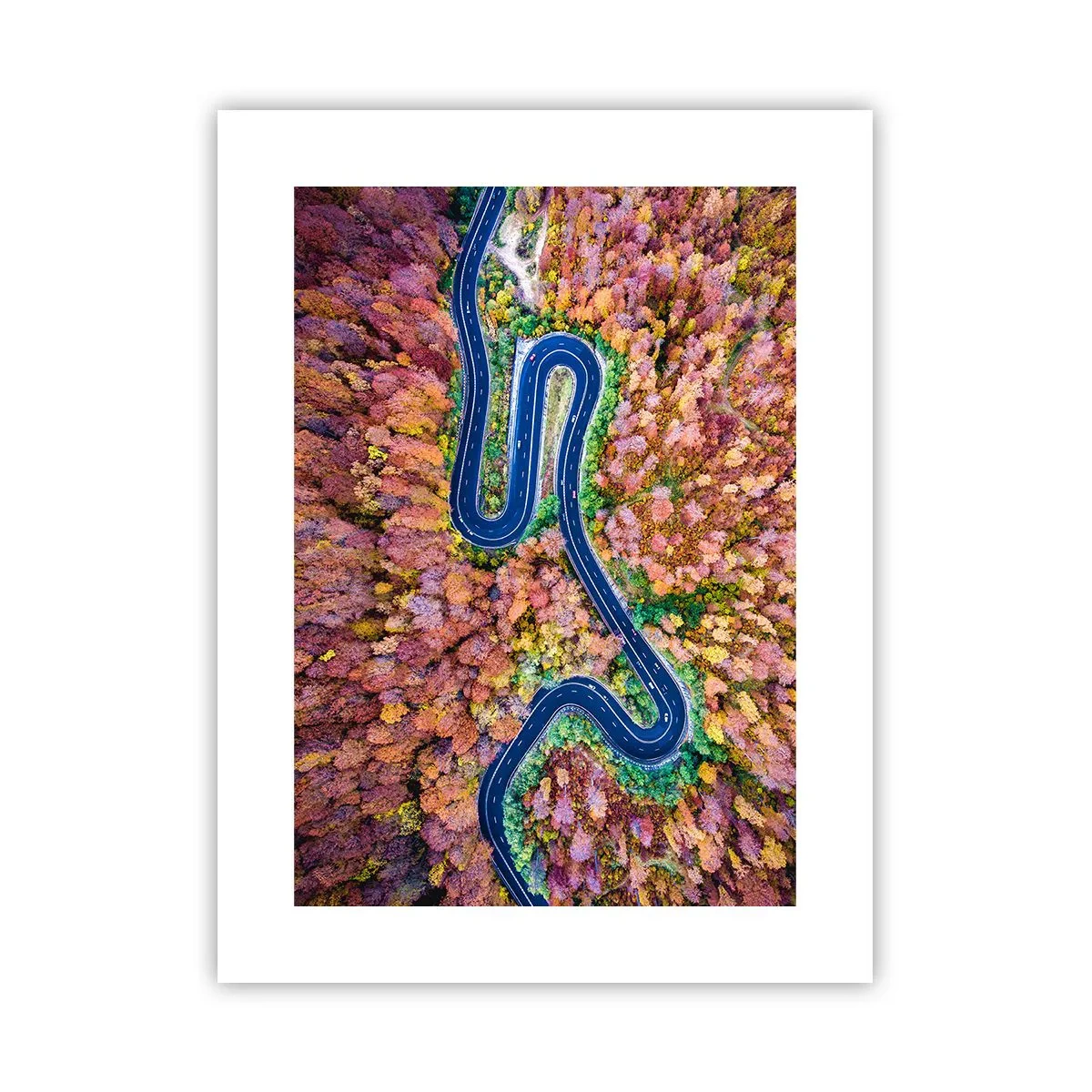 Plakát - Klikatá cesta lesem - 30x40 cm